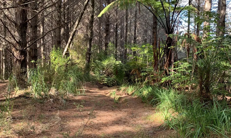 Fun at Riverhead, Auckland