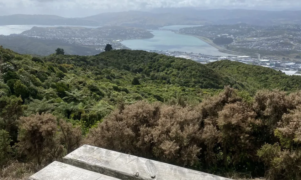 Colonial Knob Ultimate Stair Workout, Wellington