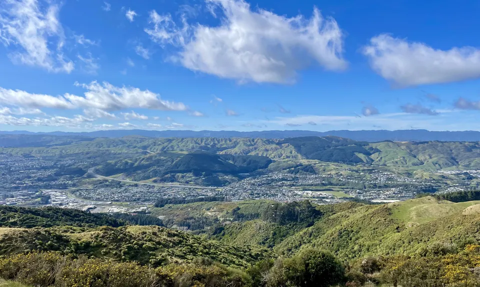 Colonial Knob