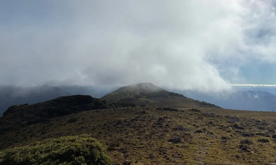Cone Ridge Loop, Wellington