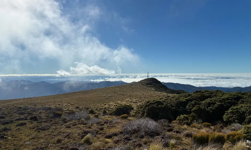 Cone Ridge Loop, Wellington