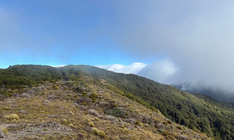Cone Ridge Loop, Wellington