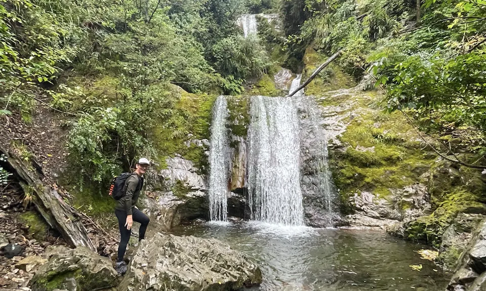 Coopers Creek - Ryde Falls loop, Canterbury