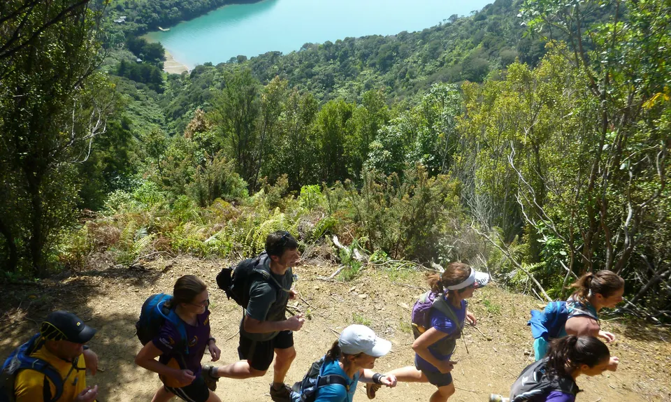 Cove to Cove , Marlborough