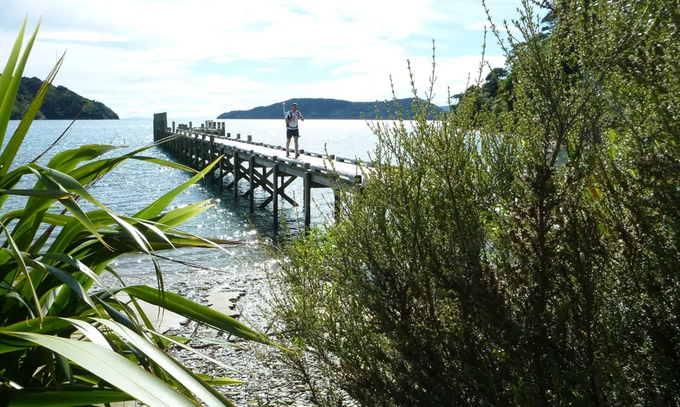 Cove to Cove , Marlborough