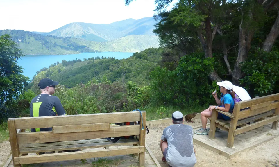 Cove to Cove , Marlborough