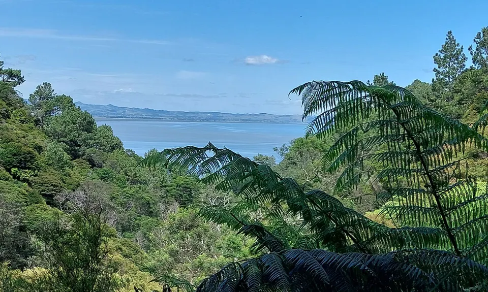 Crosbies Settlement , Waikato