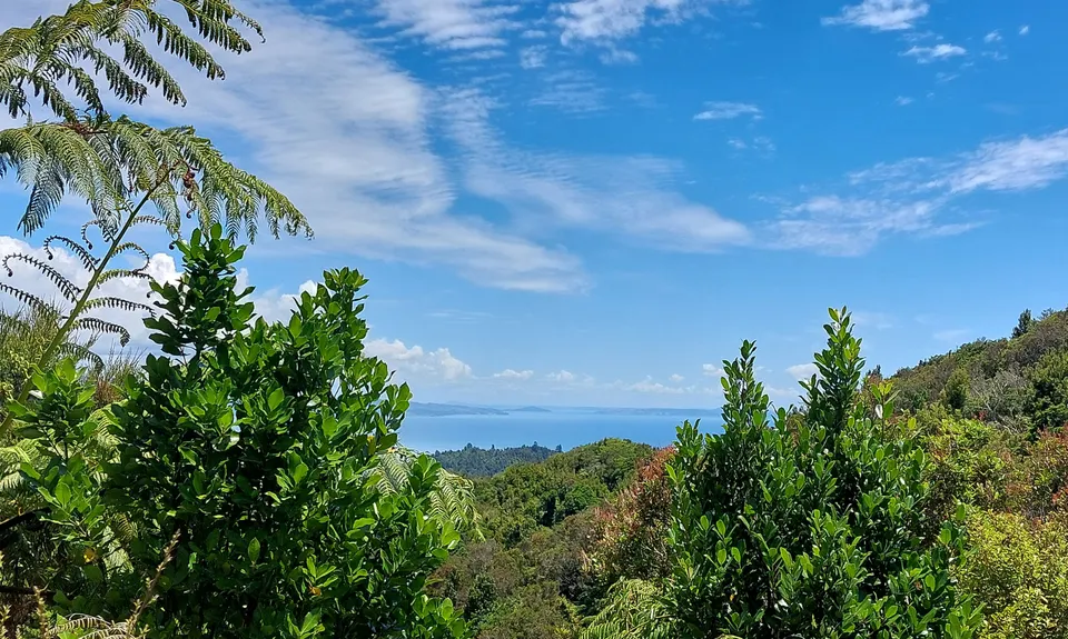 Crosbies Settlement , Waikato