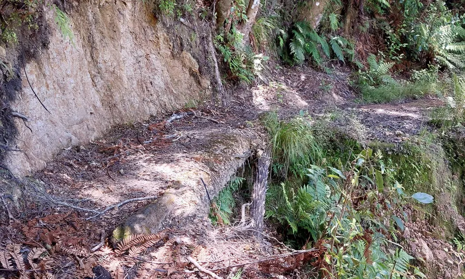 Crosbies Settlement , Waikato