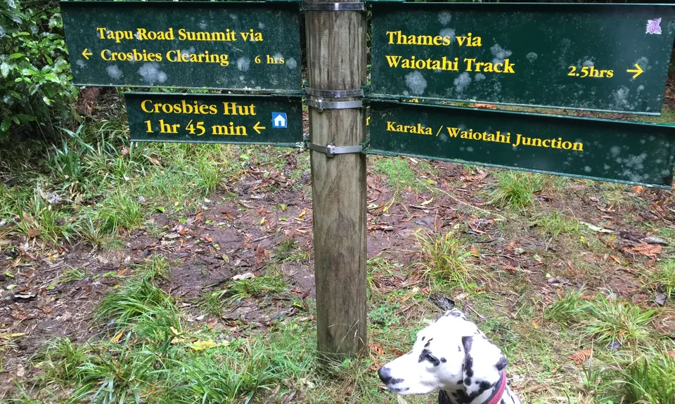 Crosbies Settlement , Waikato