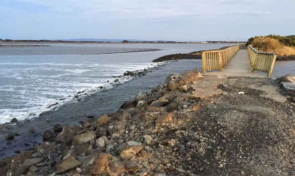 Invercargill Estuary, Southland