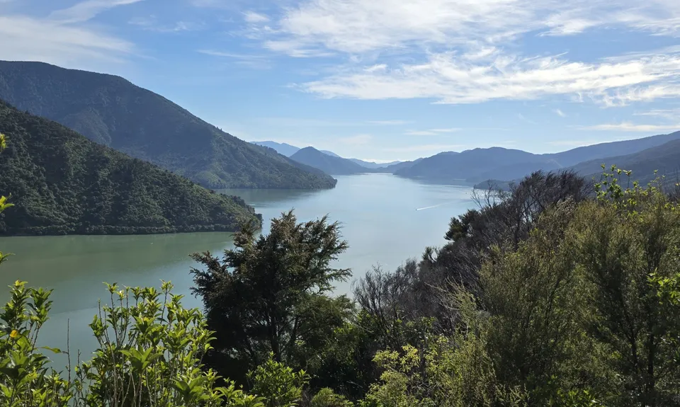 Cullen Point , Marlborough