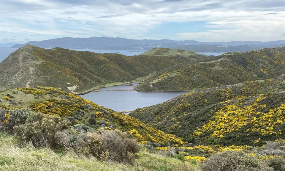 Lighthouses and Lakes, Wellington