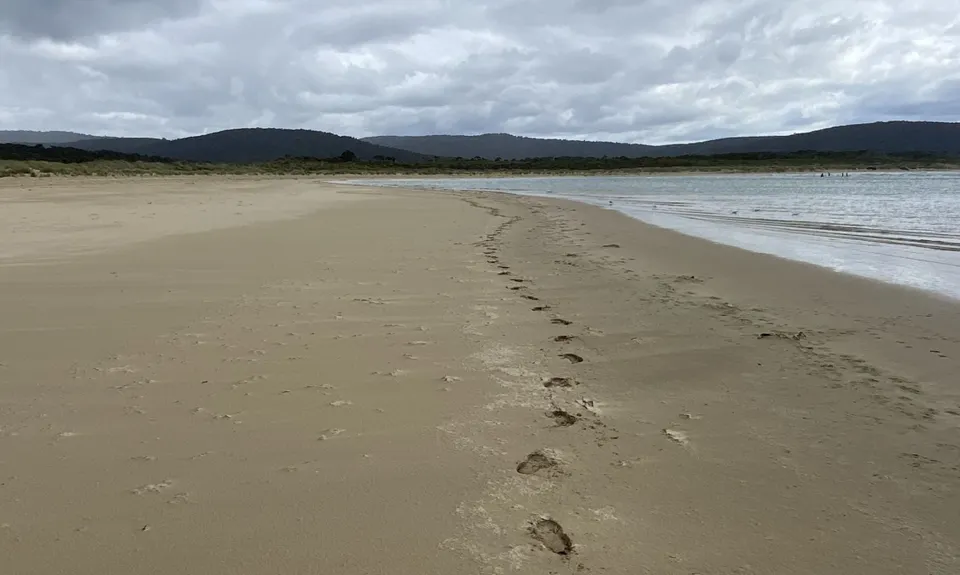 Tautuku Tiki Tour, Otago