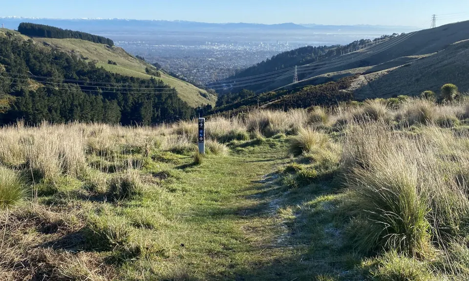 The Bowenvale Elevator, Canterbury