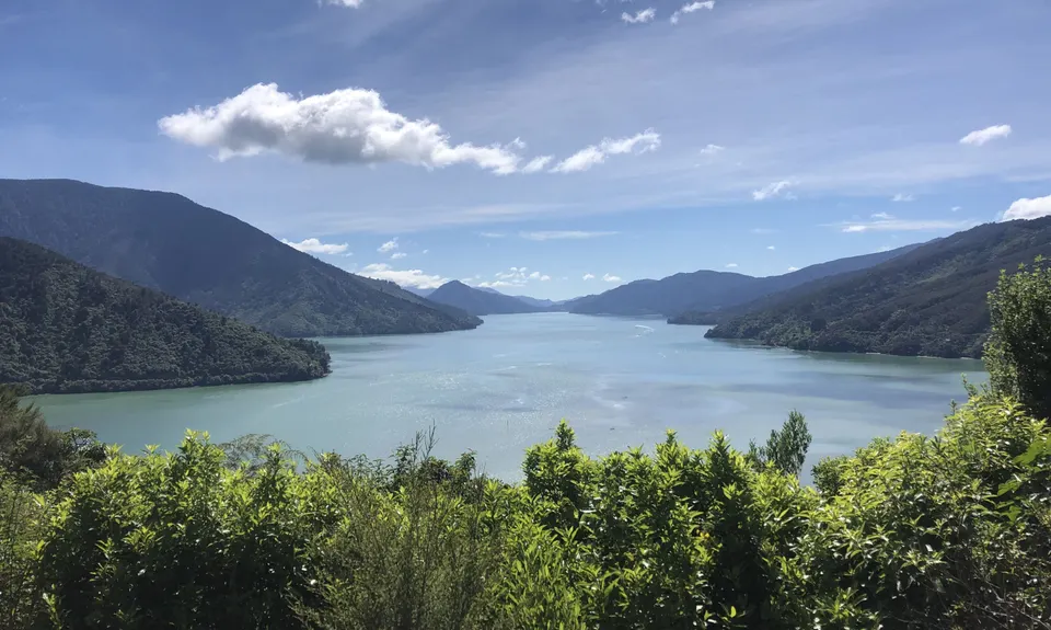 Cullen Point , Marlborough