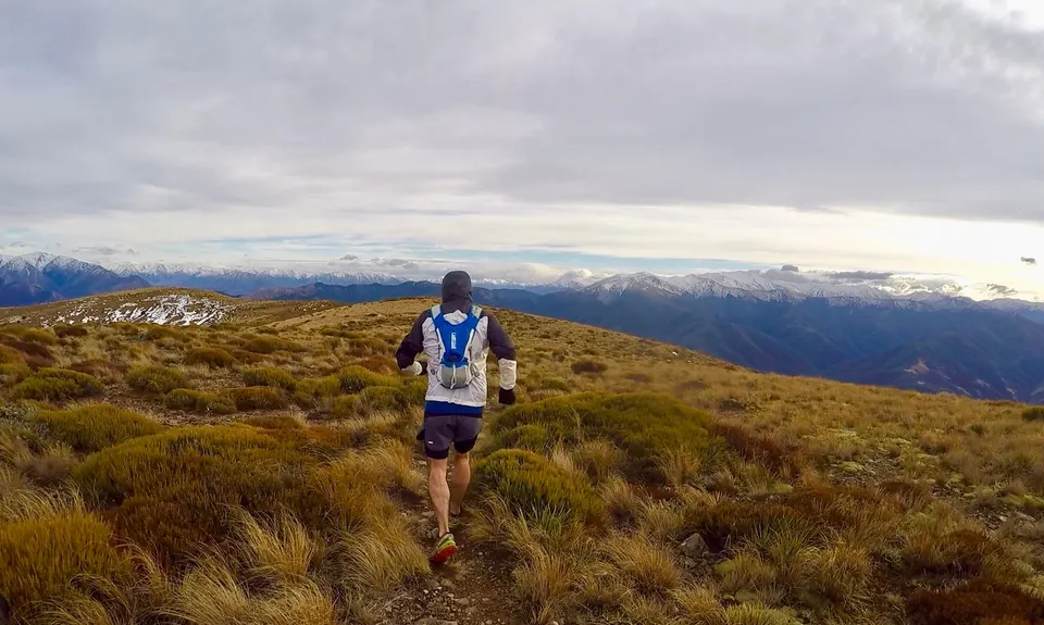 Mt Oxford - Wharfedale Track, Canterbury