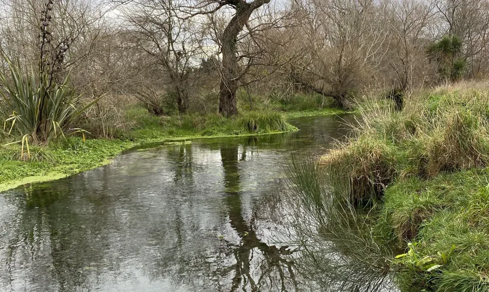 Silver Stream, Canterbury