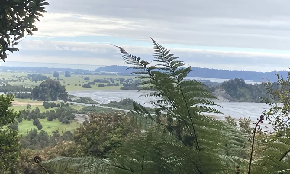 Canavan Knob, West Coast