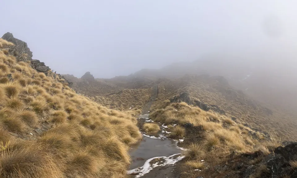 Isthmus Peak, Otago