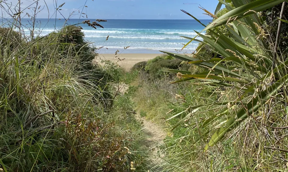 Tautuku Tiki Tour, Otago