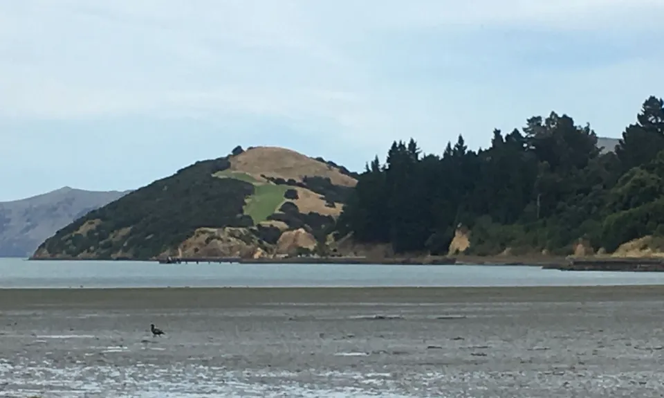 Onawe Plug, Canterbury