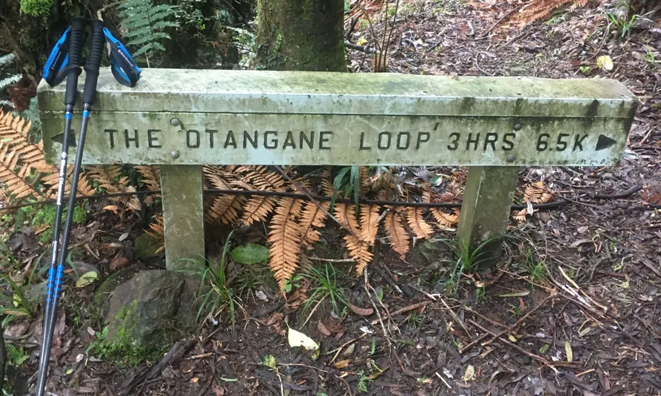 Sledge Track with Toetoe Loop & Otangane Loop, Manawatu - Wanganui