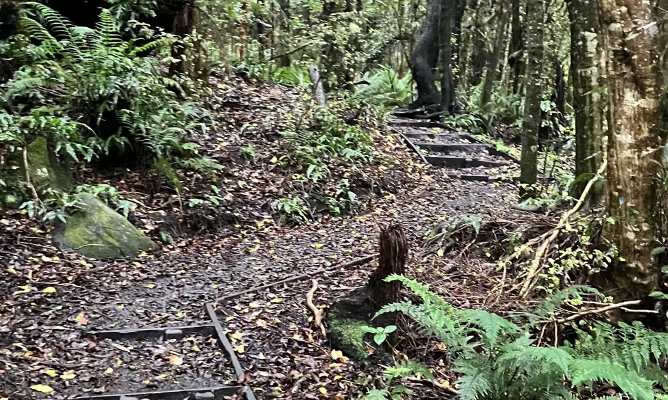 Mores Reserve Loop, Southland