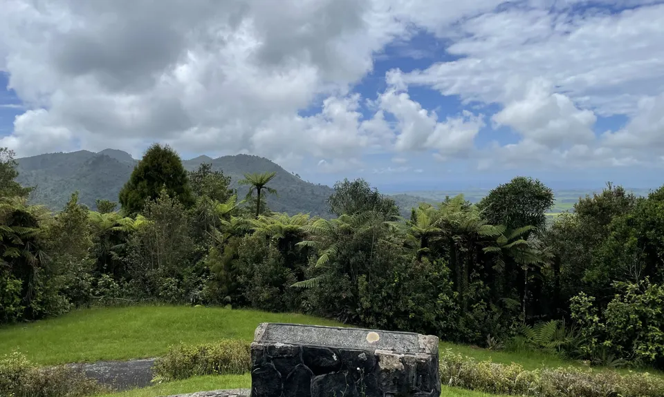 Rain Forest Romp at Pukeiti, Taranaki