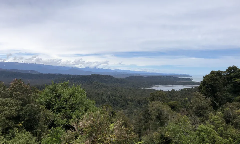 Okarito Majesty, West Coast