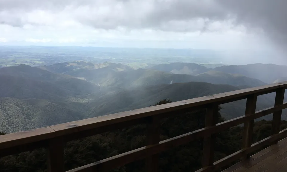 Powell Hut, Wellington