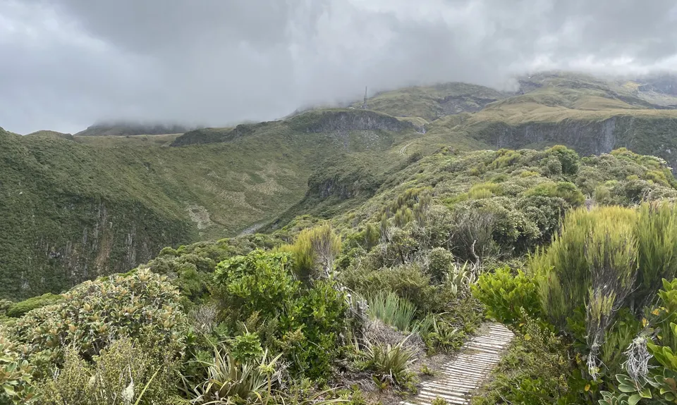 Makatawa Loop, Taranaki