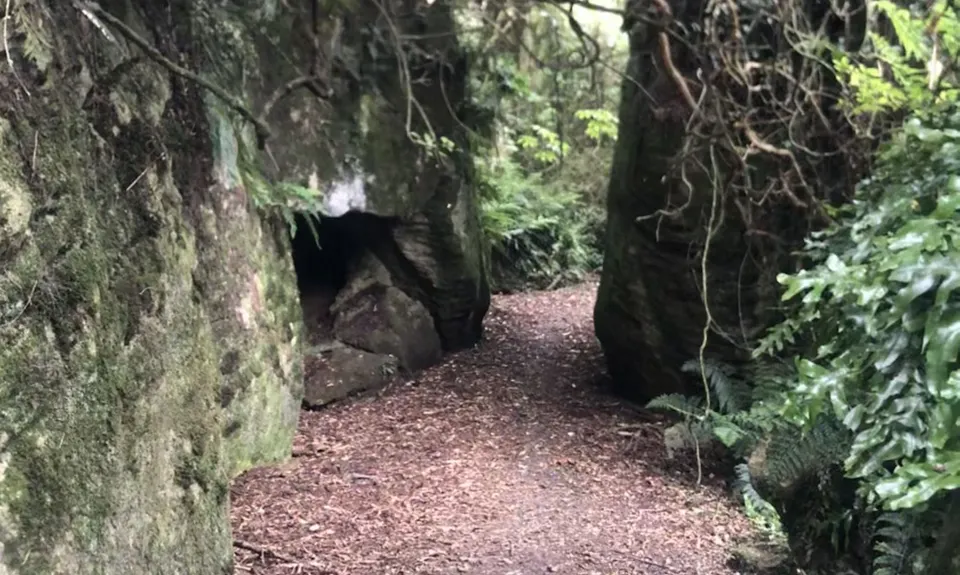 Forrest Hill Track, Southland