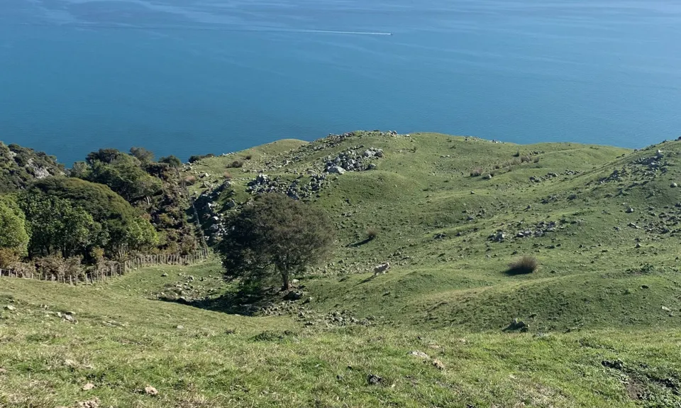 Cable Bay - Glenduan, Nelson