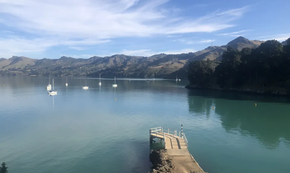 Dog Sniffing Rhythms - Harbour Crusin', Canterbury