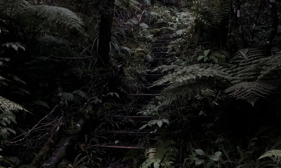 Waiwhakaiho Track, Taranaki