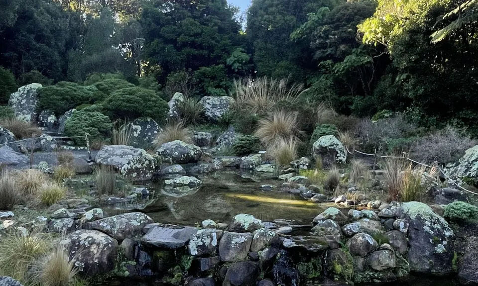 Linking the Reserves, Wellington