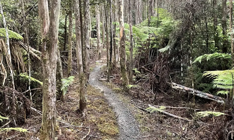 Hunua Hustle, Auckland