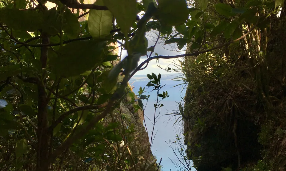 Bream Head Te Whara Trail, Northland