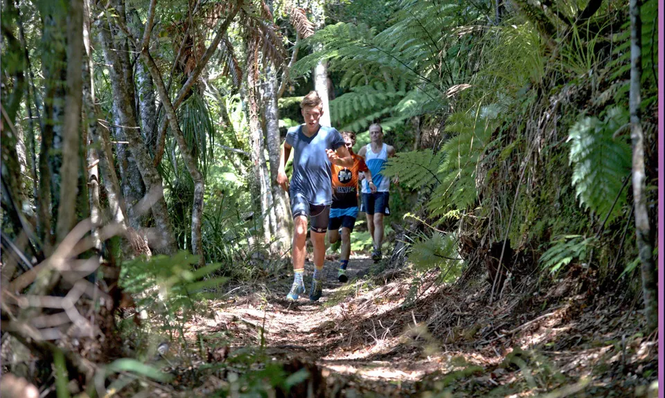 Whakaumu Track, Bay of Plenty