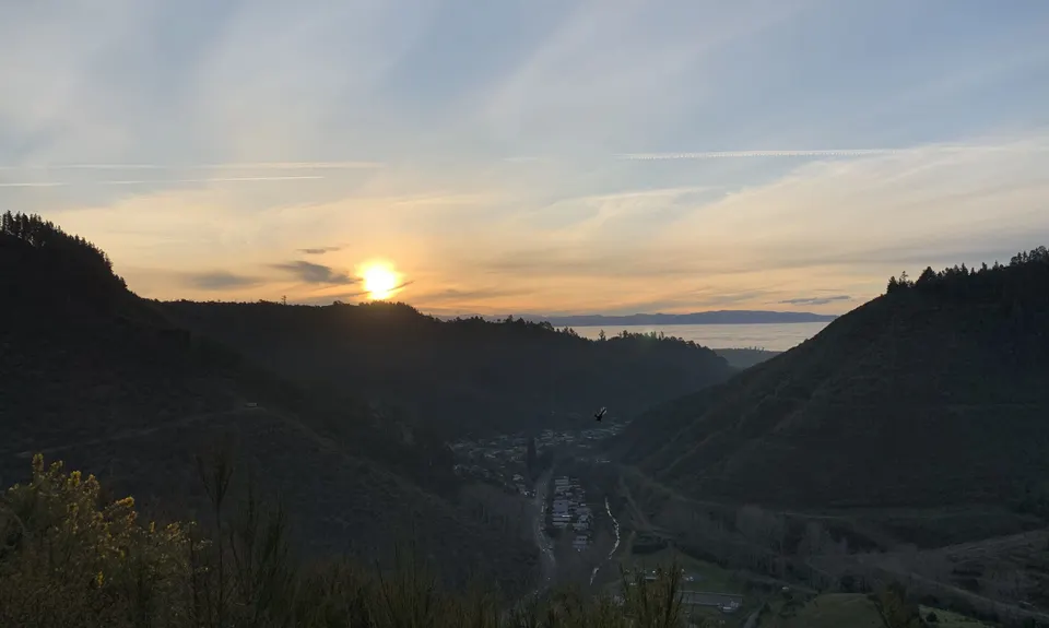Dun Mountain Loop, Nelson