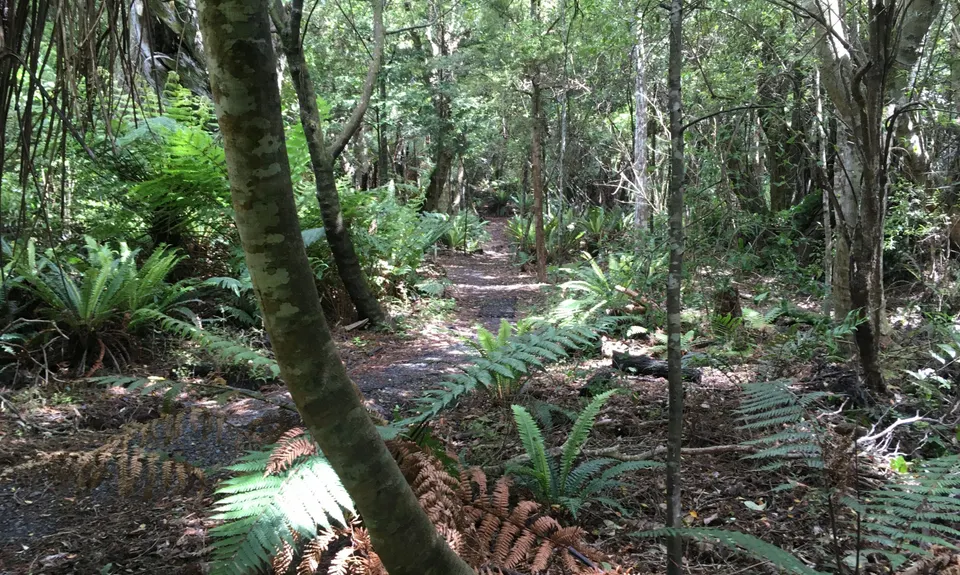 Omaui Reserve, Southland