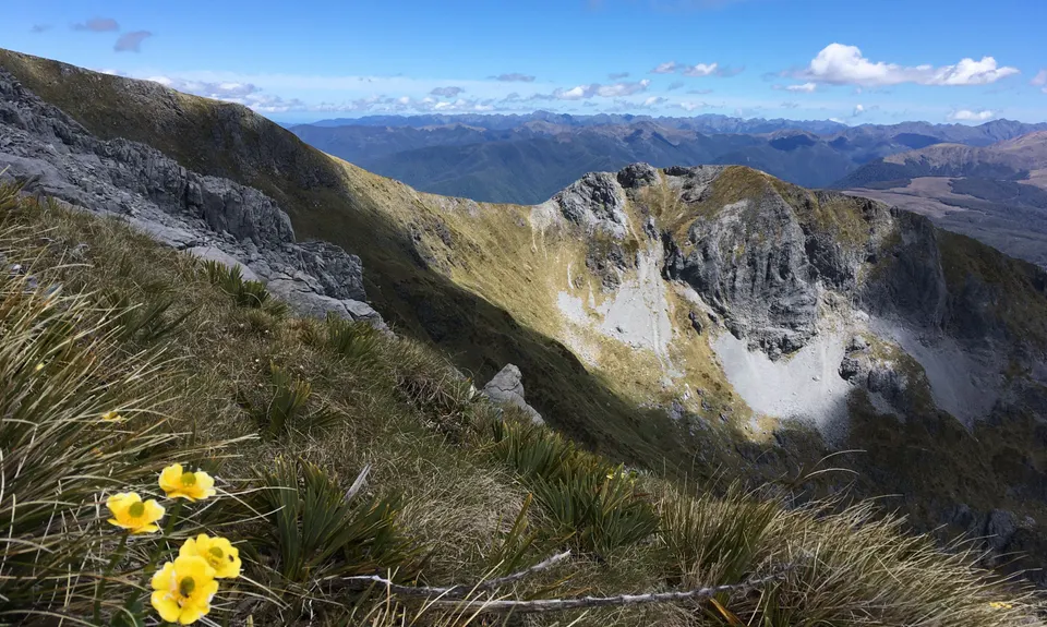 Salisbury over Arthur, Tasman