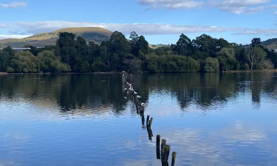 Waikouaiti Beach & Lagoon, Otago