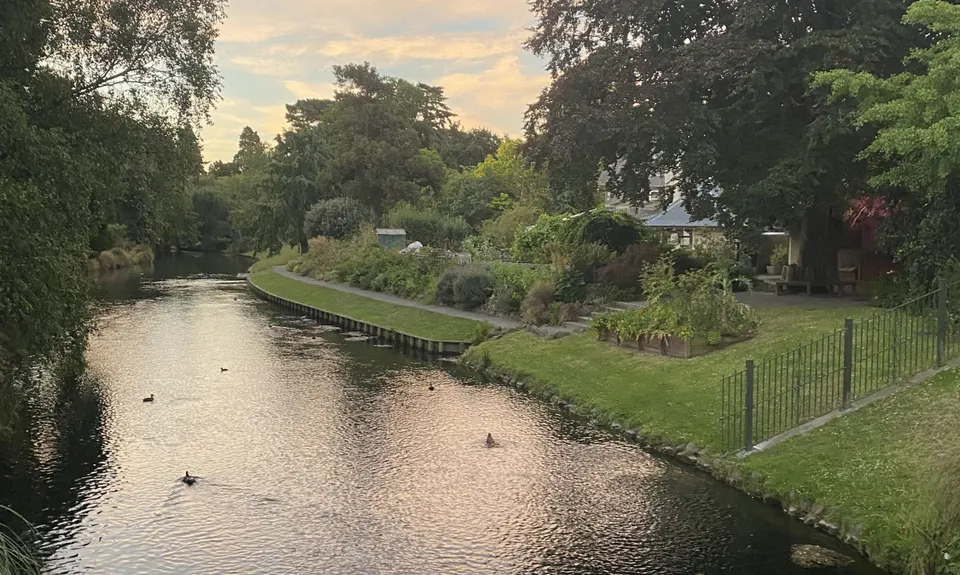 Hagley Figure of 8, Canterbury