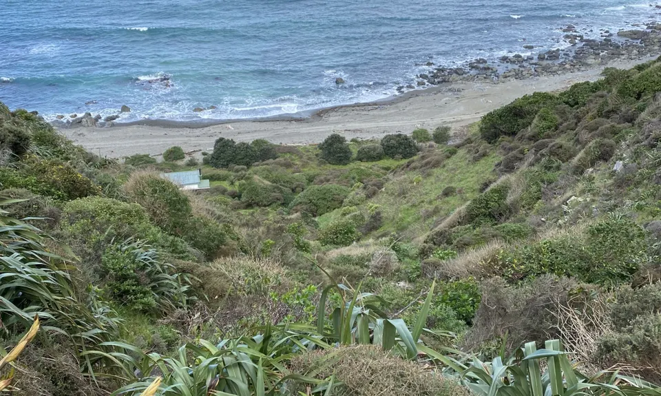 Swallow's loop, Wellington