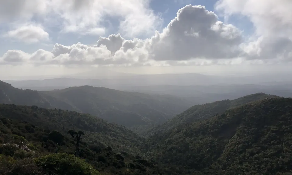 Pirongia Loop of Awesomeness, Waikato