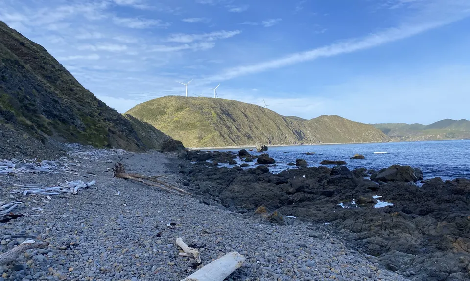 Makara Walkway, Wellington