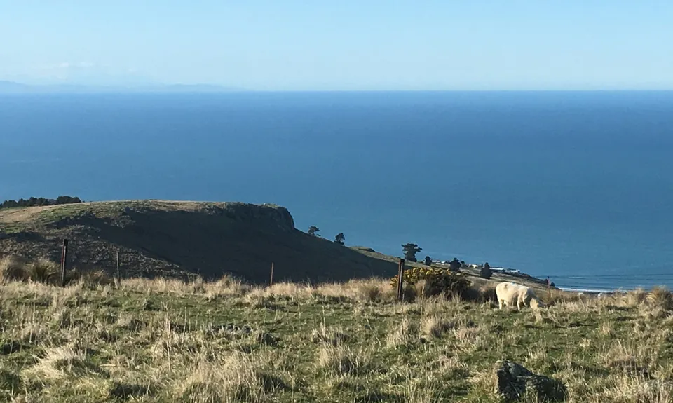 Mt Pleasant Trig, Canterbury