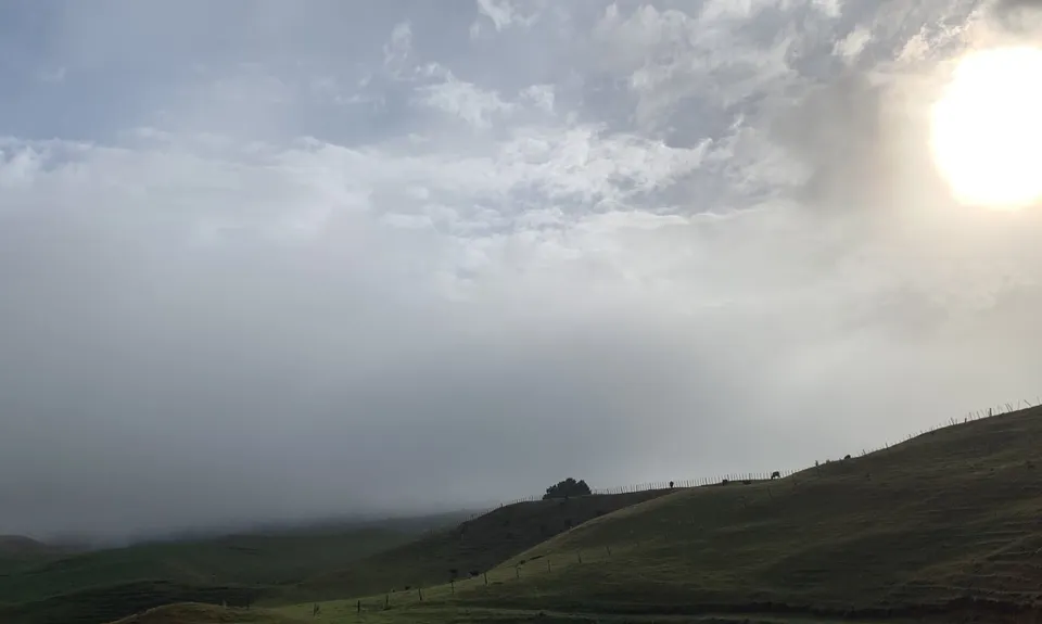 Pipiwharauroa Trail, Waikato